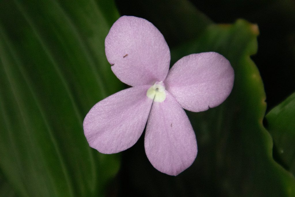 Close-up of multiple hands holding a small plant in a pot, symbolizing teamwork and growth.